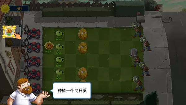 植物大战僵尸娘化版 植物大战僵尸娘化版