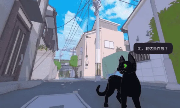 小猫咪大城市手机版 小猫咪大城市手机版