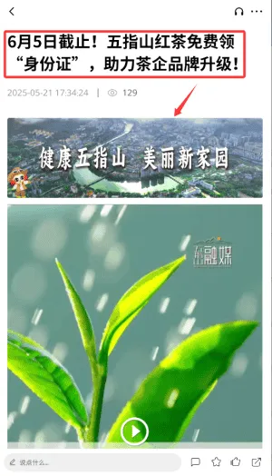 我爱五指山 我爱五指山