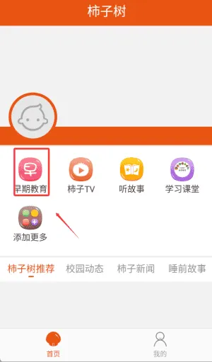 柿子树早期教育