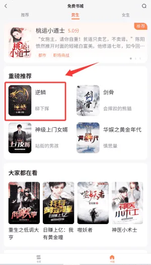 全网小说免费听书