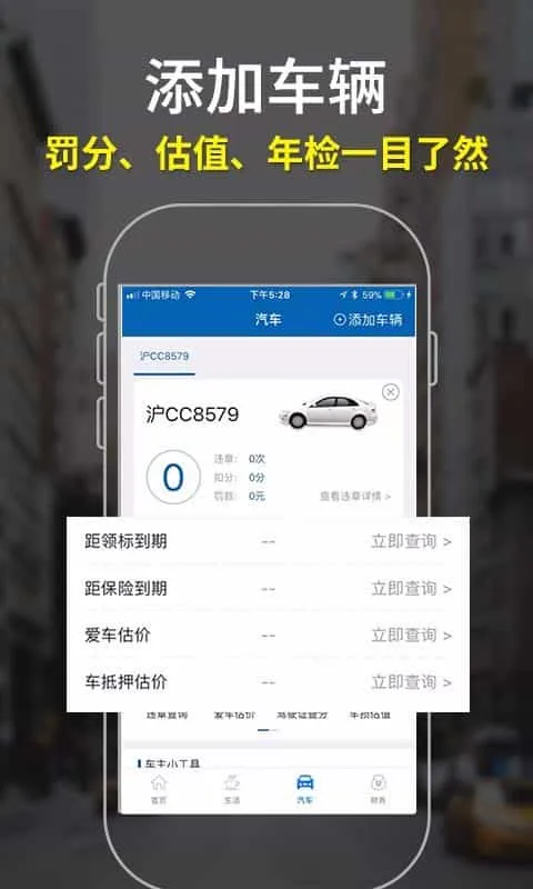 麦丘查违章