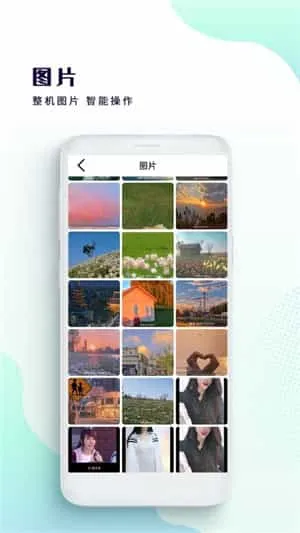 绿雾影视 绿雾影视