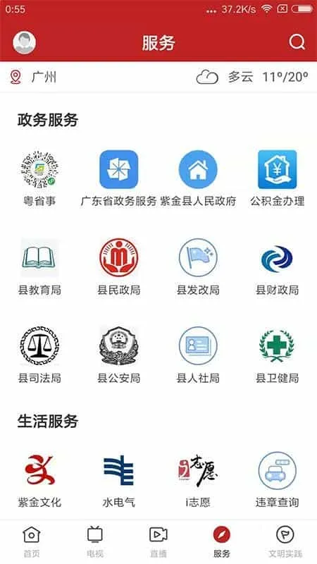 今紫金