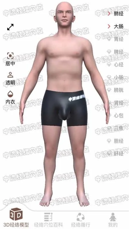 经络穴位3D