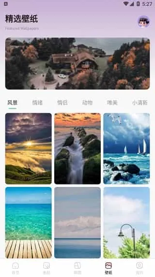金银花相机