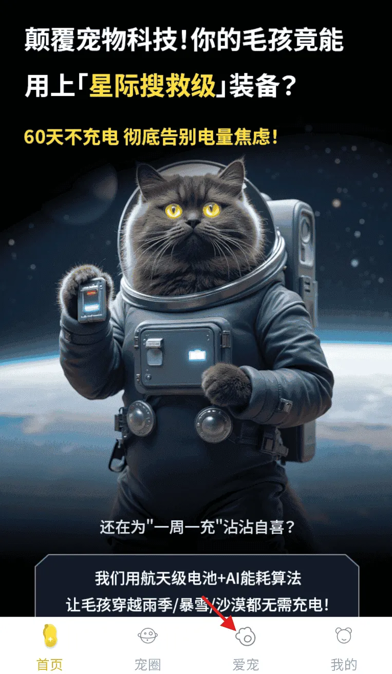 花生宠物